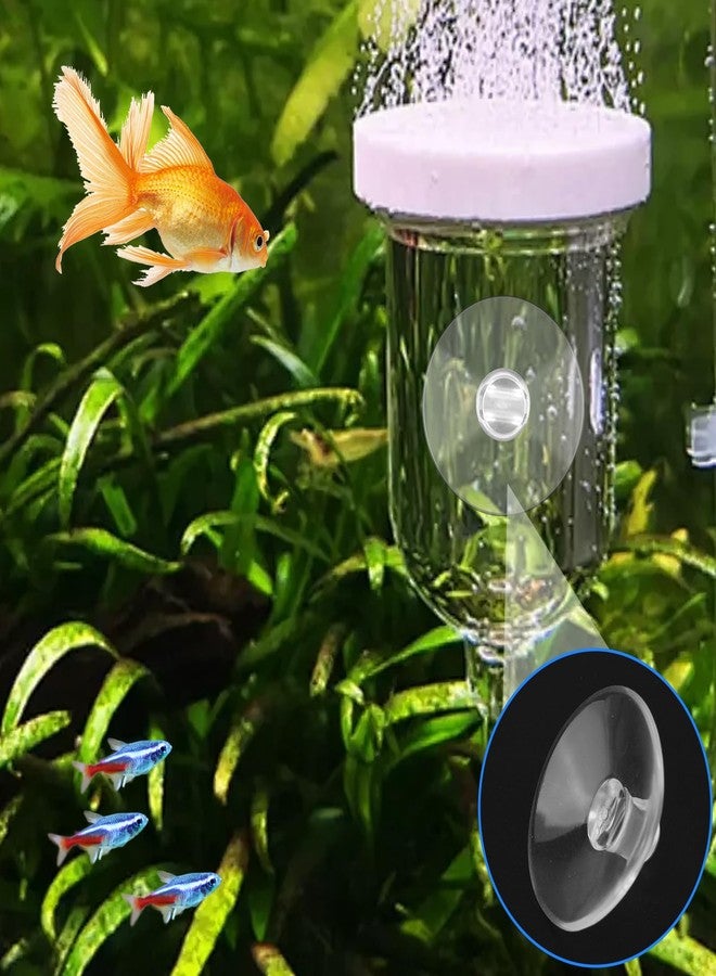 LUSTRIB 30 Pcs Aquarium Suction Cups with 30 Pcs Adjustable Zip Ties Set, Clear Fish Tank Suction Cups Without Hooks, Small Suction Cups for Aquarium Fish Tank Decoration Moss Shrimp Nest Reptile Hammocks - Image 4